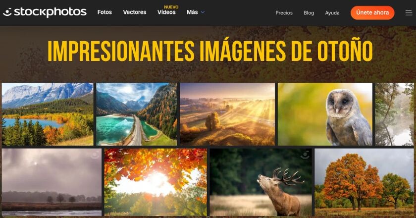 stockphotos.com-imagenes-de-otono