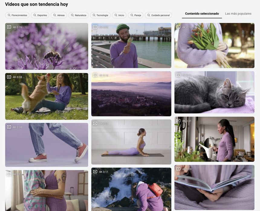 shutterstock video en tendencia
